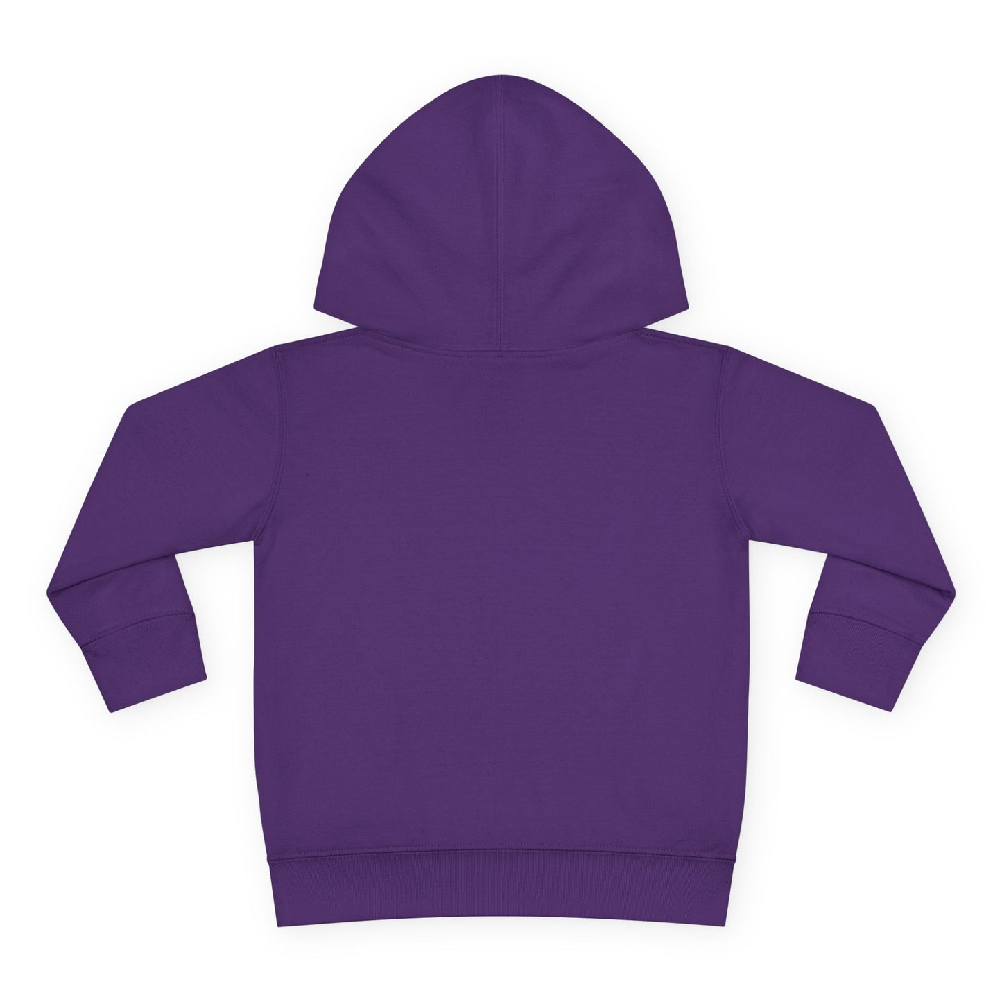 Play Games Toddler Pullover Fleece Hoodie