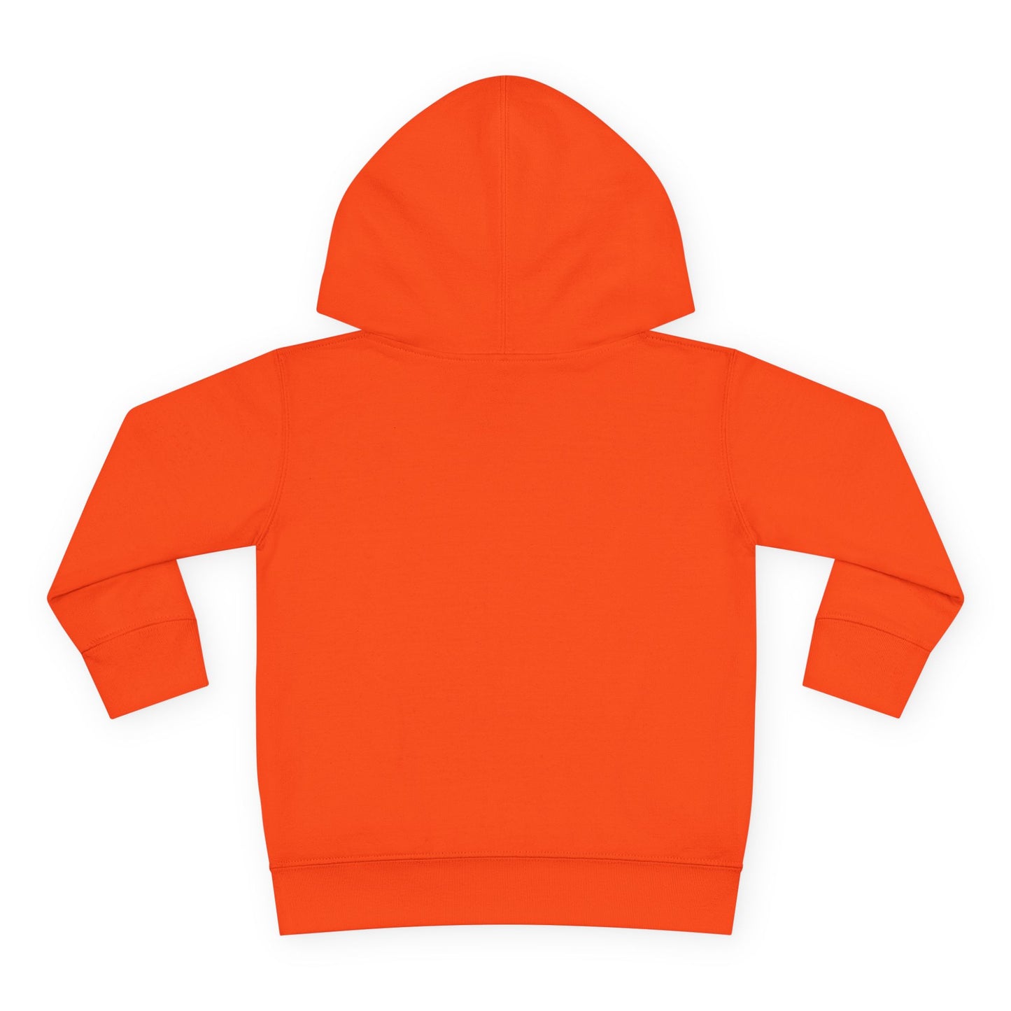 Play Games Toddler Pullover Fleece Hoodie